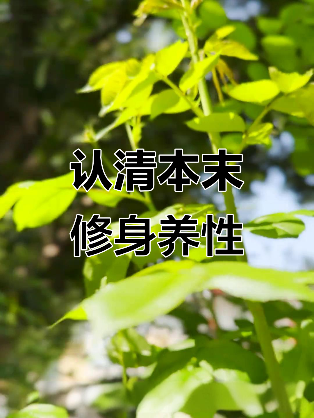 详细阅读:本未国置(本末什么置四字成语) 本未国置(本末什么置四字成语)